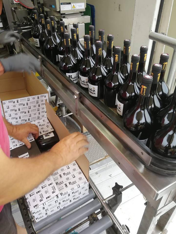 VINSROUMAGNAC's tweet photo. En place pour un nouveau #RendezVous #Negrette #Syrah . Sa force et son caractère en feront un compagnon festif avec tout l'esprit du #sudouest #Fronton #PortesOuvertesEnAoût #SaveursetSenteurs  https://t.co/BUOfvSic3T https://t.co/c3z7DMchpC