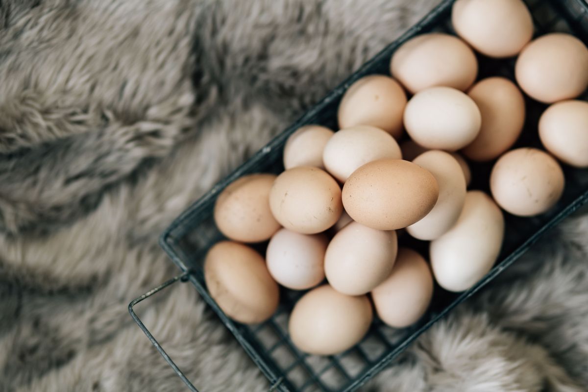 HiveInsurance's tweet photo. Are eggs good for you? We explore the answers for you here: https://t.co/DCNHBsnWPR

#health #blog https://t.co/iyqCgIEbFQ