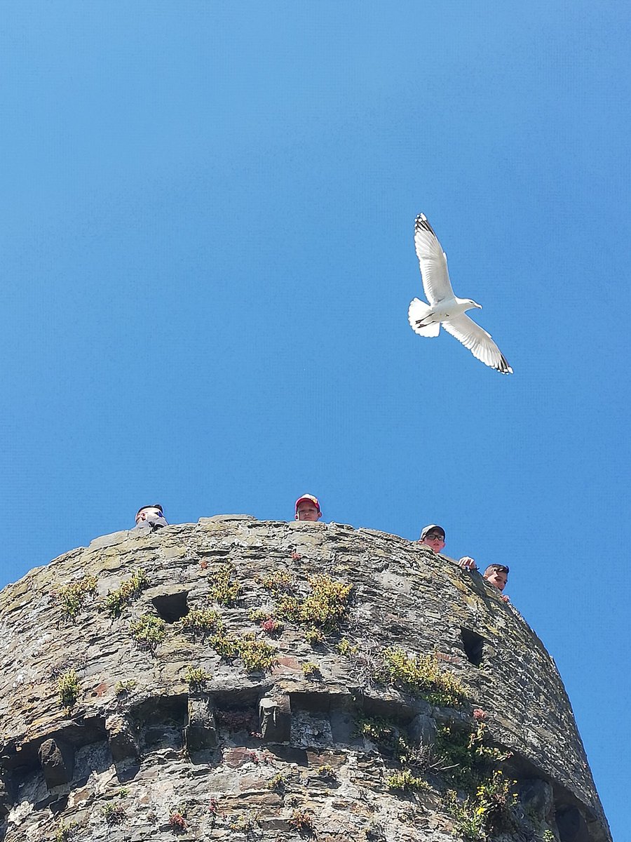 mtbshistory's tweet photo. Conwy https://t.co/mbzEkagpnF