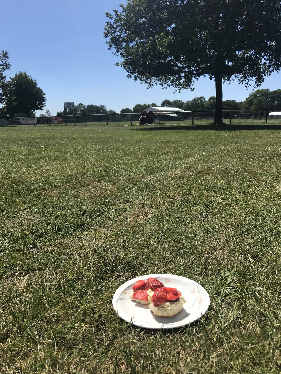 kentcountyshow's tweet photo. It might be a busy time in the office but when it #NationalCreamTeaDay who are we to say no! Sorry @RoyalCornwall but in honour of @DevonCountyShow visit itโs #jamontop! https://t.co/qxgLGR7ZI8