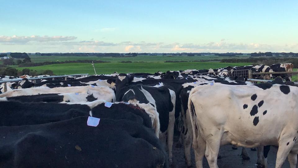 ESTROTECT's tweet image. Now that's one fine Friday view!

How are things looking by you today?