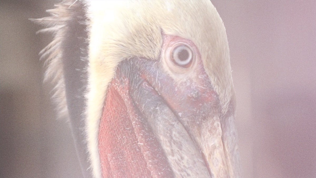 Can't believe my song has had 100,000+ plays! Endless love to anyone who has listened/danced. ❤️❤️❤️❤️ xxxxxx - Fin