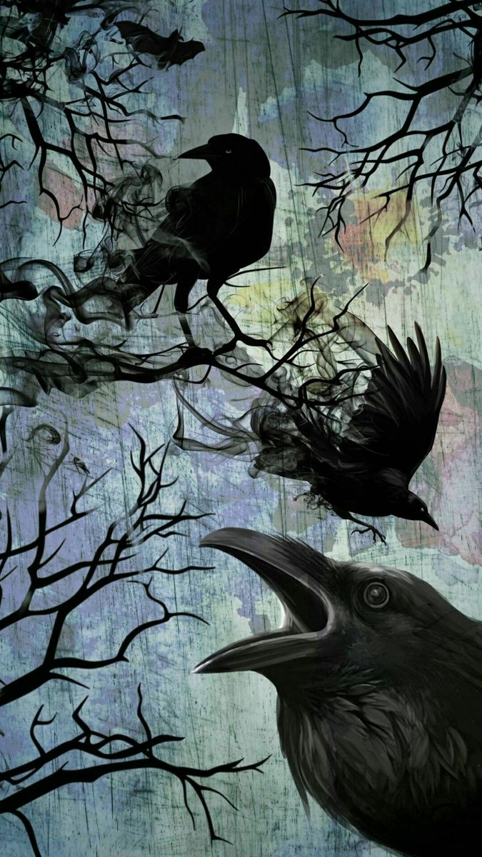 TriciaWhatley's tweet photo. #BigBlackBird
#ForbiddenFearFriday https://t.co/a1QsVAns5x