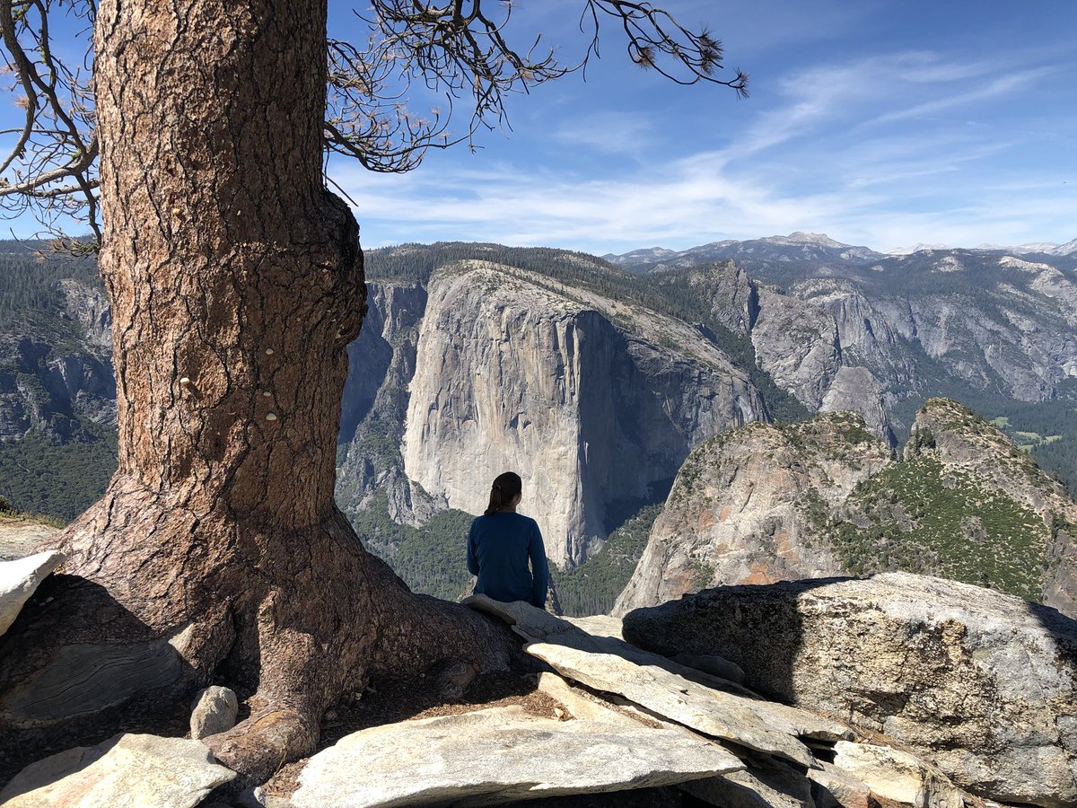 BeOutsideNow's tweet photo. #Hike70 - #GlacierPointRoad to #DeweyPoint in @YosemiteNPS Meadows, wildflowers, mosquitos, and that view! Nice hike away from the crowds. #52HikeChallenge2018 #104HikeChallenge https://t.co/GBtWLRoUTP