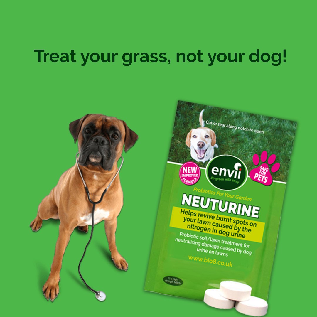 How Do You Repair Dog Urine In Soil