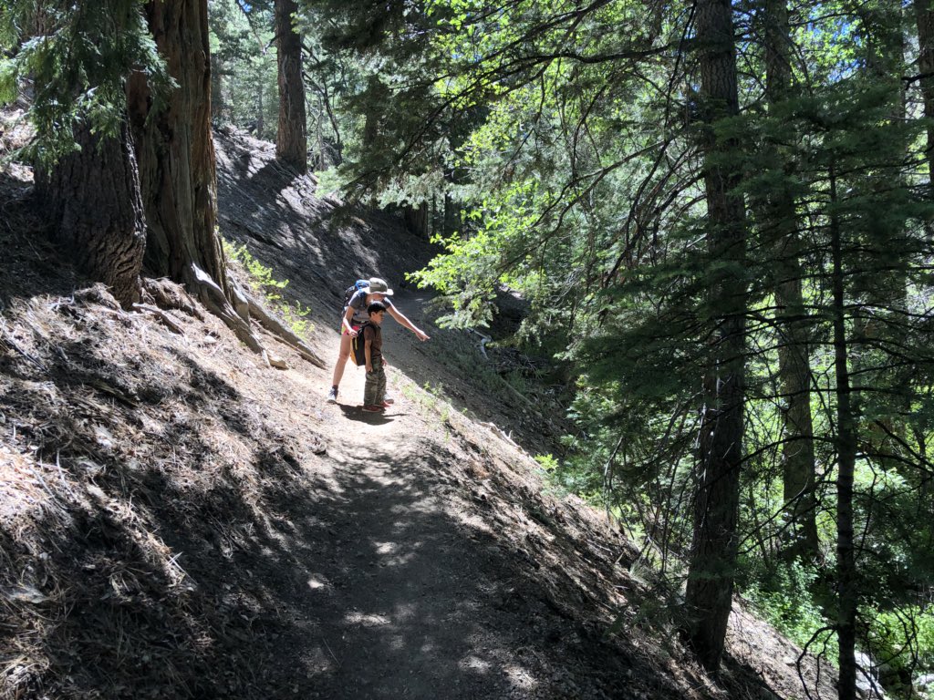 BeOutsideNow's tweet photo. #Hike71 - #AngelesCrest was unexpectedly closed at #IslipSaddle so we backtracked to #BuckhornCampground and went a little ways down the #BurkhartTrail. #52HikeChallenge2018 #104HikeChallenge https://t.co/YJkmoCLQFT