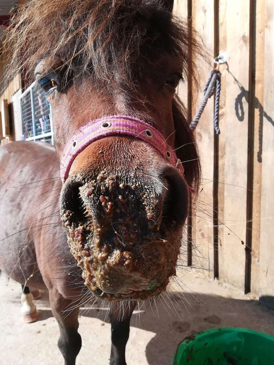 Have I got something on my face???! This Munchkin has been munch, munch, munchin' 😀😀