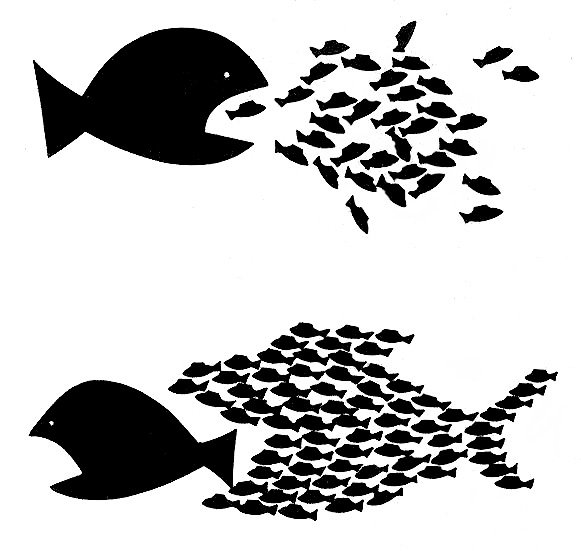 open_assistant's tweet image. Big Fish, Little Fish.