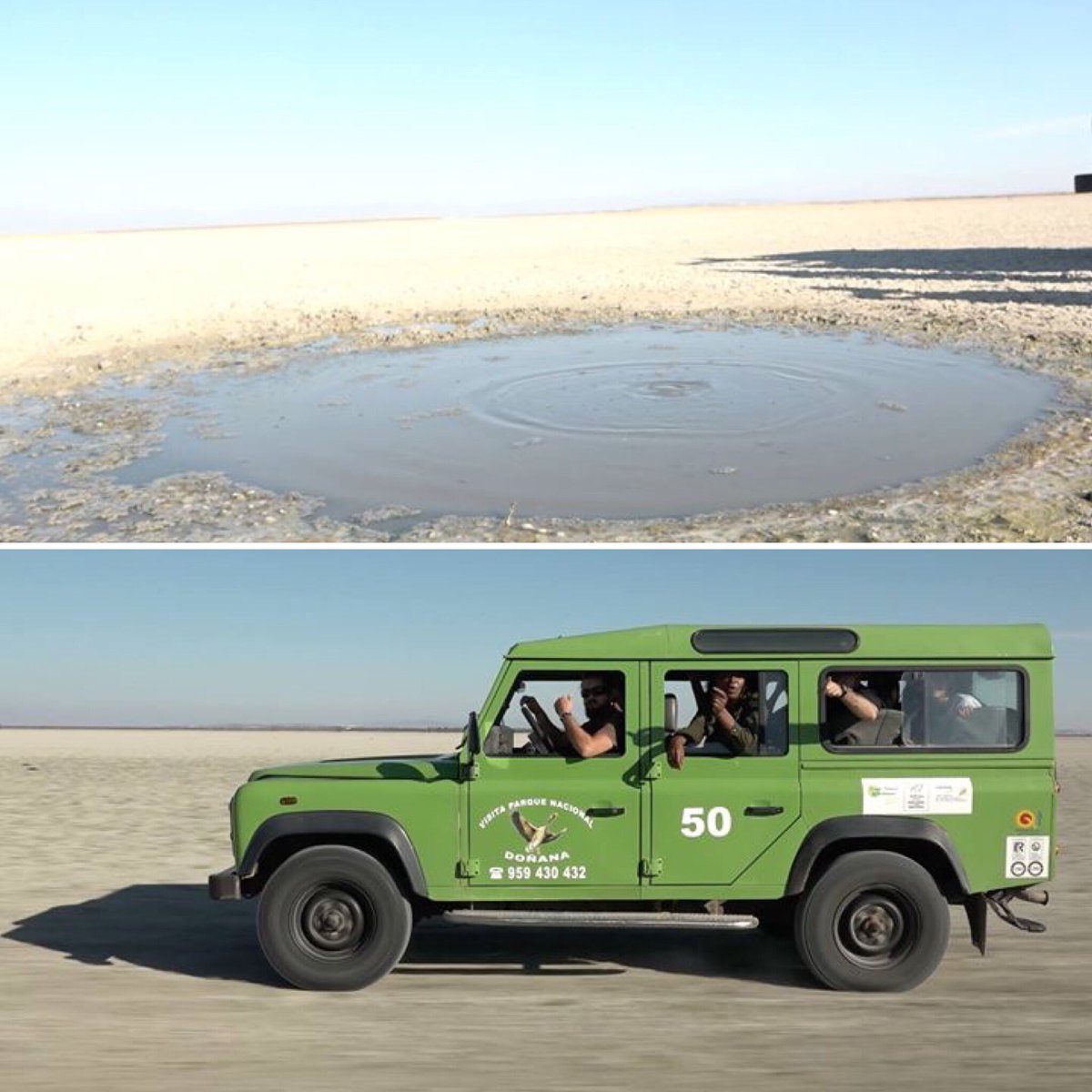 tribus_viajeras's tweet photo. Recorremos la marisma de #Doñana, los "ojos" de la marisma son un fenómeno natural de agua dulce que recuerda a las arenas movedizas.

@TurismoJerez #Turismo #Jerez #JerezdelaFrontera #Doñana #naturaleza #flora #fauna #viajes #viajesquenoseolvidan #tribusviajeras https://t.co/Pd5BoNbk9N