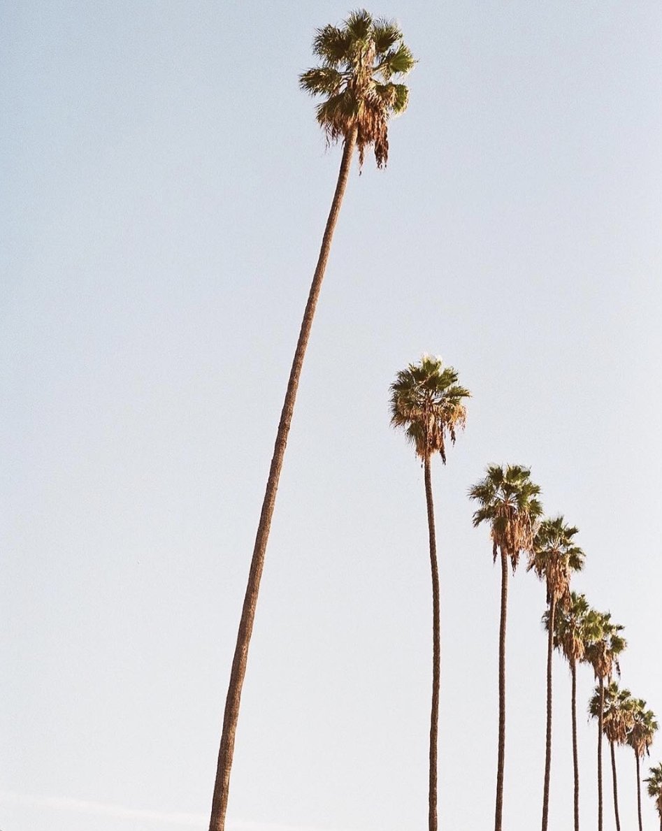 lovechrysalis's tweet photo. Good times and tan lines ☀️
📷 - @sincerelyjules 

#LoveChrysalis #FridayMood #summer https://t.co/piqjneku6E