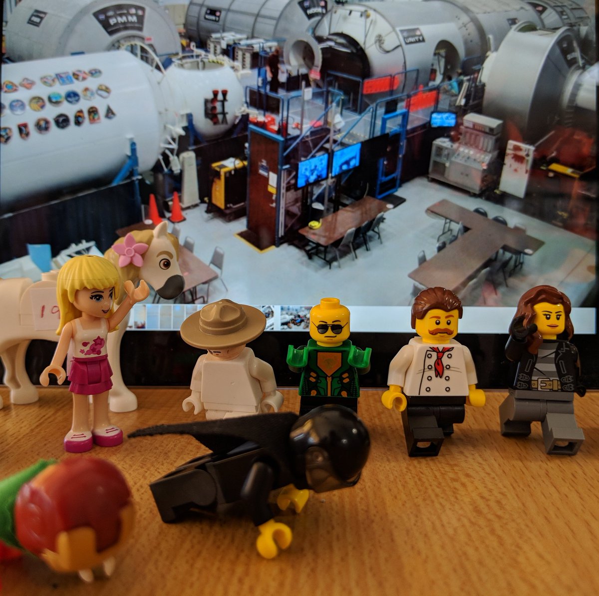 SacredHeartSch1's tweet photo. Our Lego astronauts are currently in training for their voyage to space this weekend! Keep following for live tracking and updates on their progress! https://t.co/SYgCTucc77