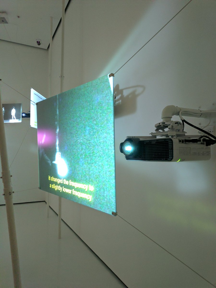 Bee! 🐝 tweet media