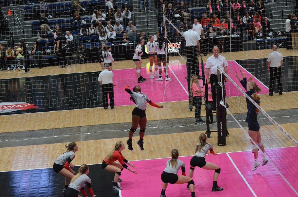 We all need this type of support in our lives(vb players will get this)