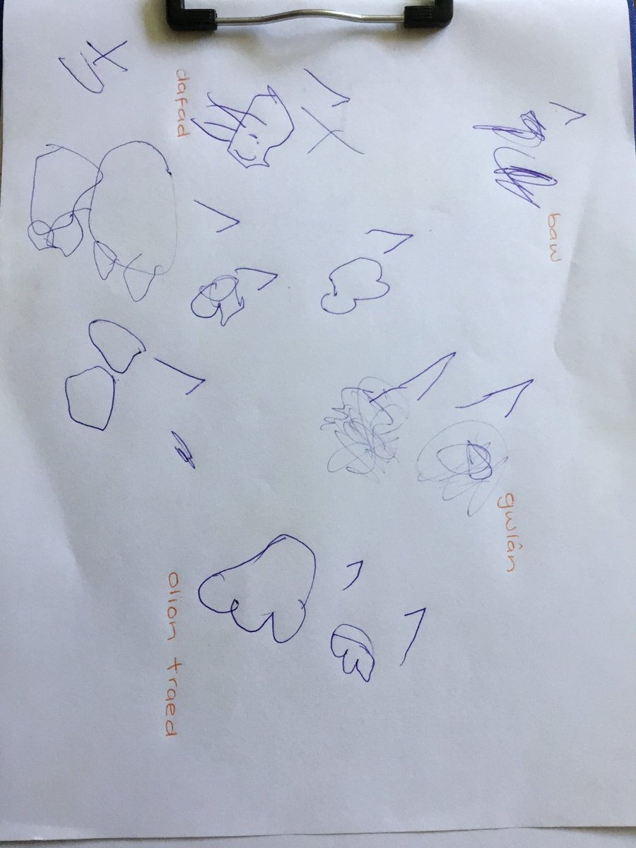 Uh o! Mae rhywbeth wedi fwyta llysiau ni! Dewch i chwilio am cliws.... baw, olion traed a gwlân. Tybed pa anifail oedd o? Ie, ddafad! O diar. #datrysproblemau #chyfathrebu #ysgrifennuambwrpas <a href="/MudiadMeithrin/">MudiadMeithrin</a> <a href="/PowysFp/">Powys FL team</a>