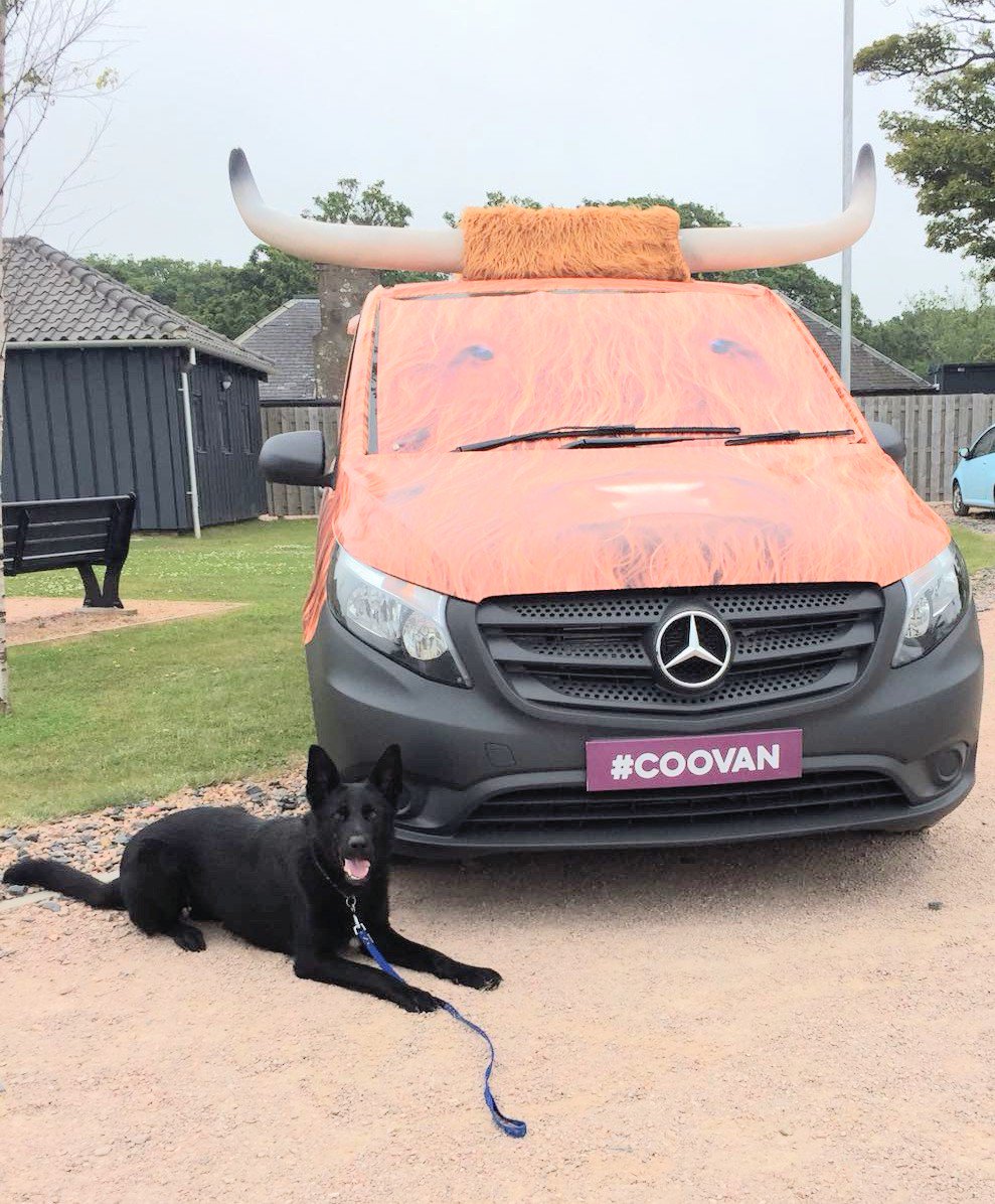 PSOSDogs's tweet photo. PD Ziva is having a lovely relaxing day off visiting Kingsbarn and she bumped into @DiaryofaCooVan ๐ฎ๐ถ #restdayfun #tourist #PoliceDogs #PDZiva ๐ https://t.co/gYXrQsiufa