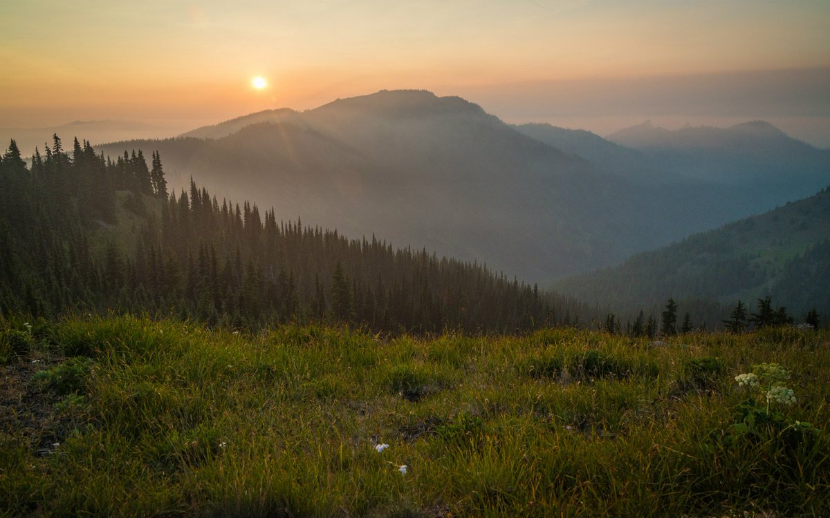 Looking out from a grassy hillside at sunrise on a hazy morning with forest covered mountains stretching out in ridges towards the horizon.
