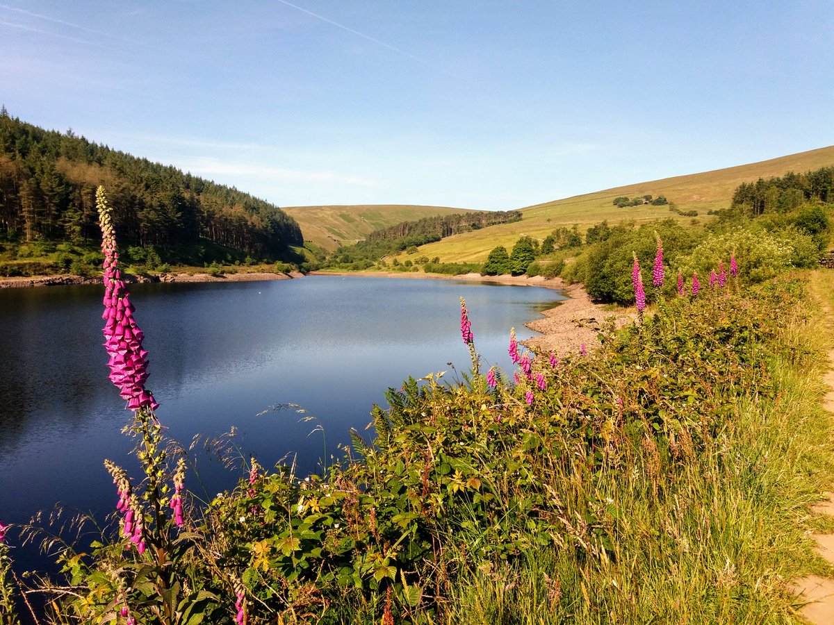 Pendle Run Festival tweet media