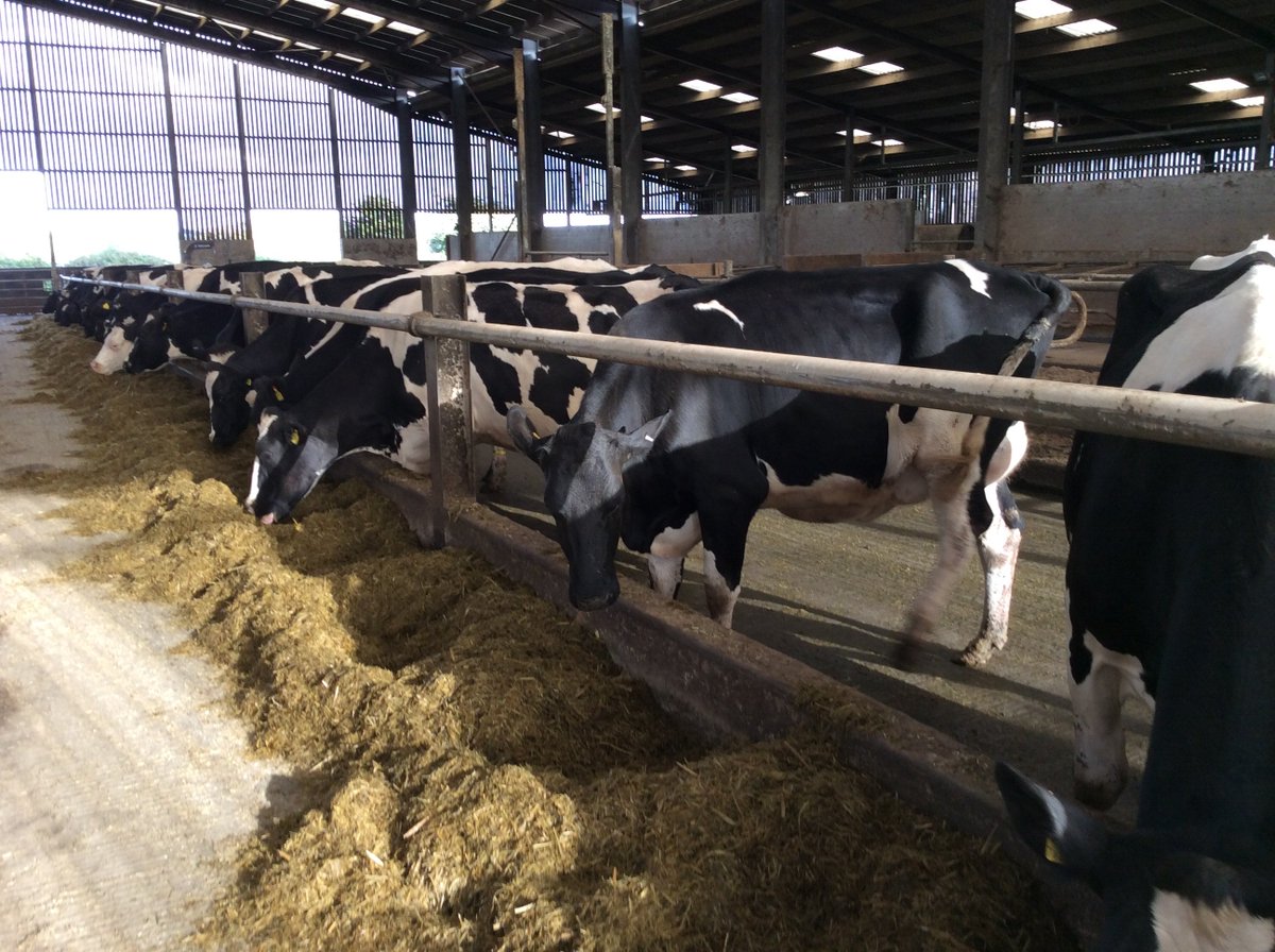 #FridayFocus - Nutrition

With feed representing one of your biggest input costs; a watchful, unbiased eye, WILL make a measurable improvement to your bottom line.

To read more about our genuinely independent assessment click the link:-

bit.ly/2KhiRqd