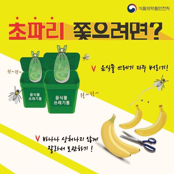 여름철 초파리 저리가!! #성남시 #첨단산업과
