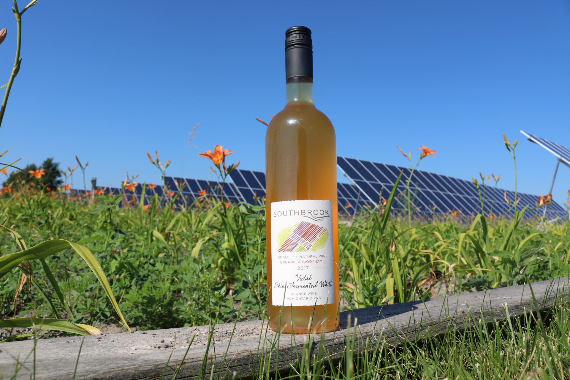 Southbrook Vineyards on Twitter: "Its going to be a HOT #LongWeekend ! Stay  cool with our new release of Orange Wine. Retails at $29.95, available  online or at the tasting bar https://t.co/Eft4bIwbaO…