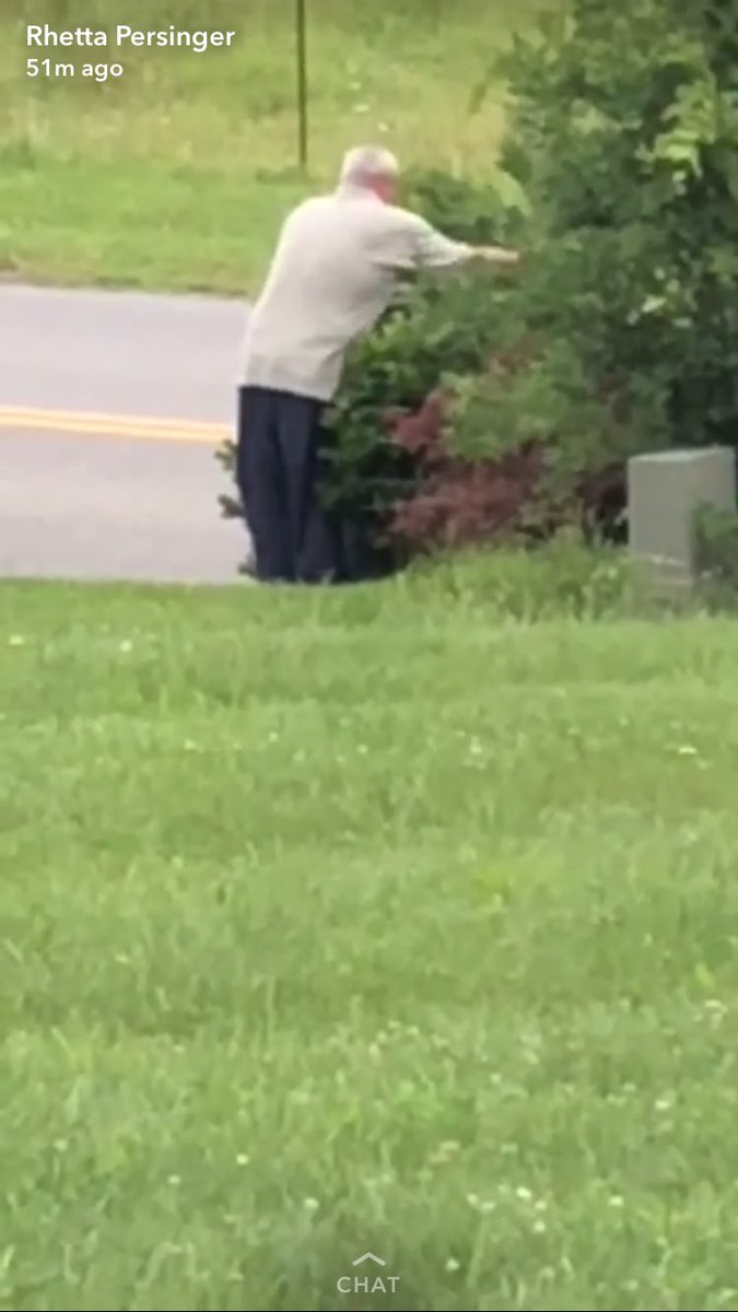 PersingerDanny's tweet image. Ok finished trimming the bushes...🤕🤪...had to dodge 4 bird parents and 3 nests....one was a blue jay and she let me know she was not happy...#ontothenextproject