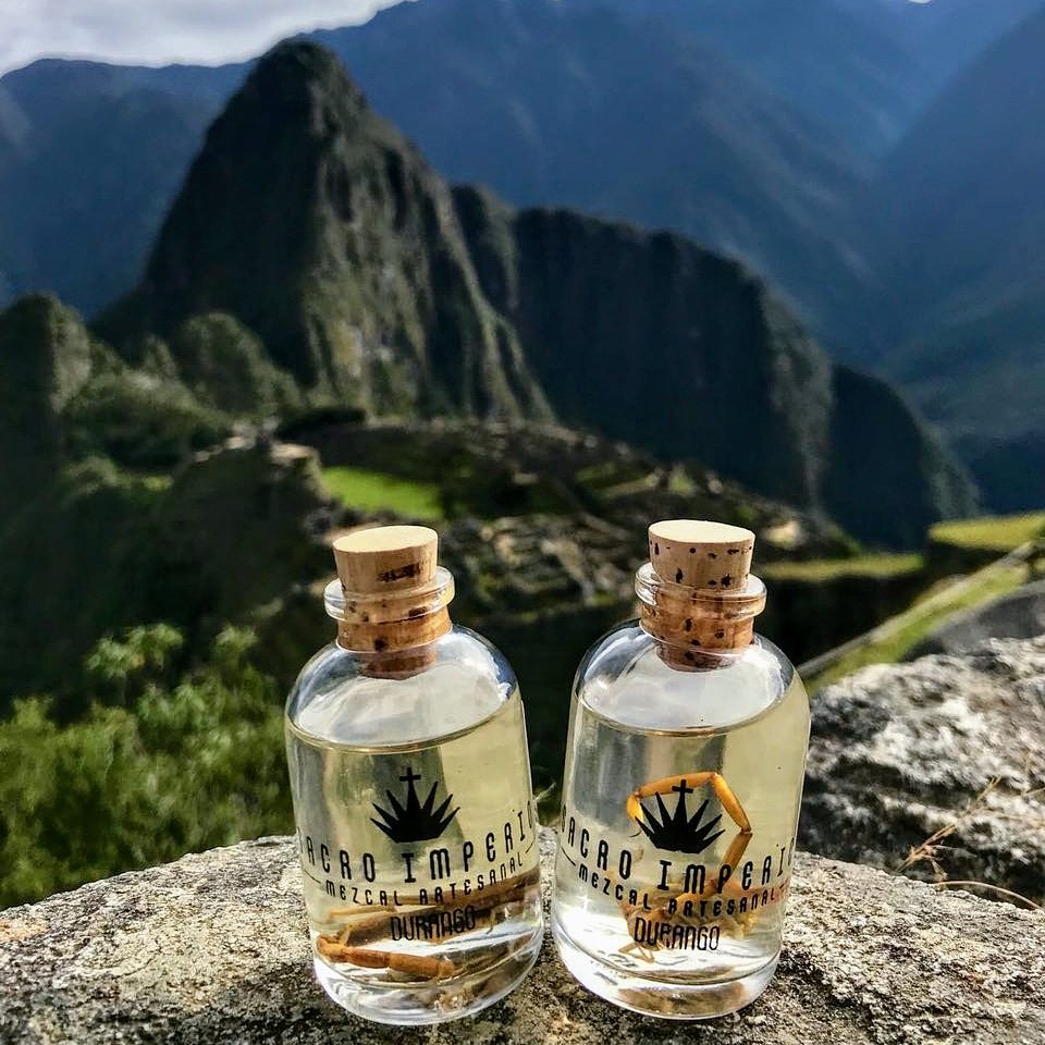 Mezcal Sacro Imperio tweet media