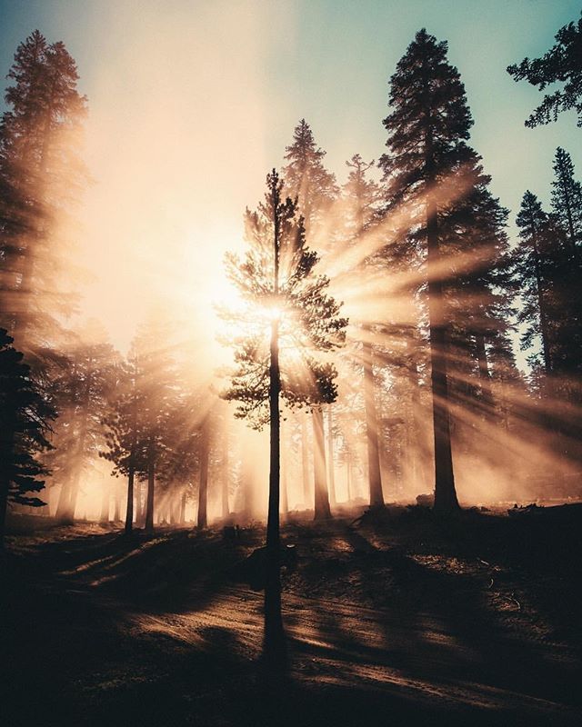 fubiz's tweet image. Light of Life ☀️ by @jude_allen
#fubiz #inspiration #photography #paperart
Mention @fubiz if you want to be featured on our Instagram bit.ly/2KkVzjt