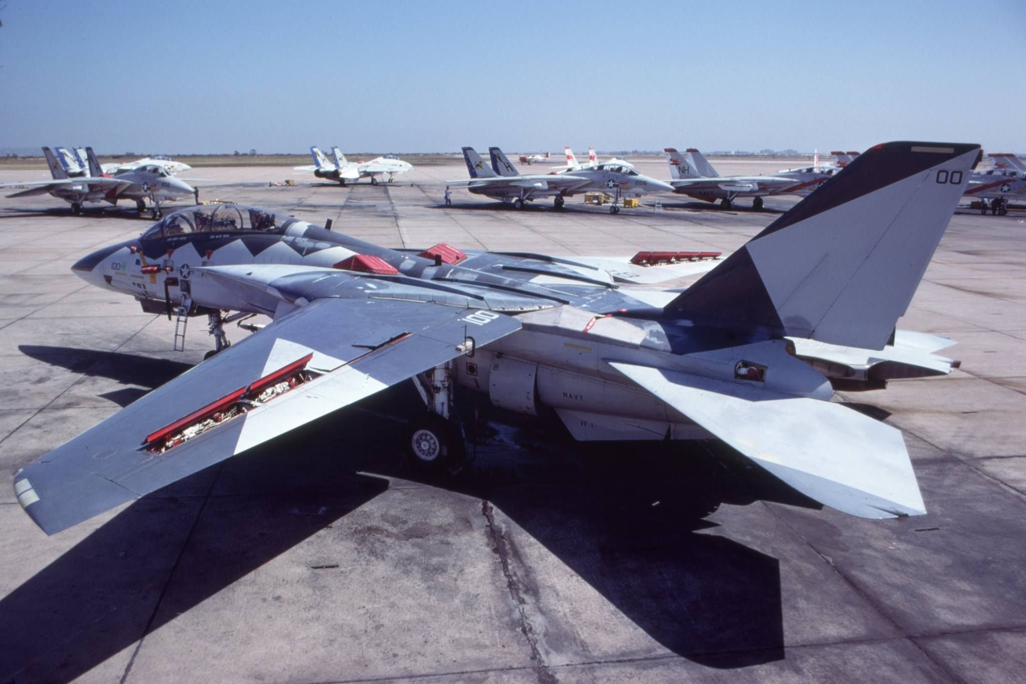 For the F-14A with it's set of various skins that would certainly be t...