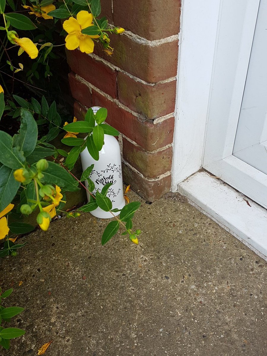 Norfolk Gin Jonathan tweet media