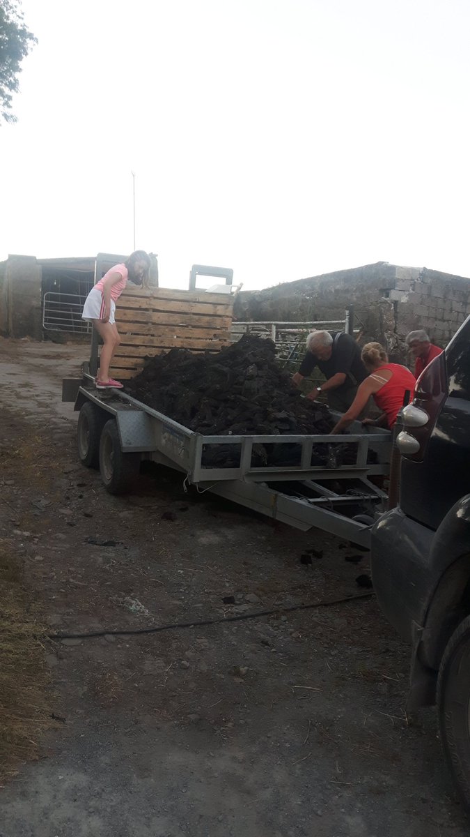 therese_rahilly's tweet photo. Many hands make light work ๐ #thelastload #bog https://t.co/uScBxOujV3