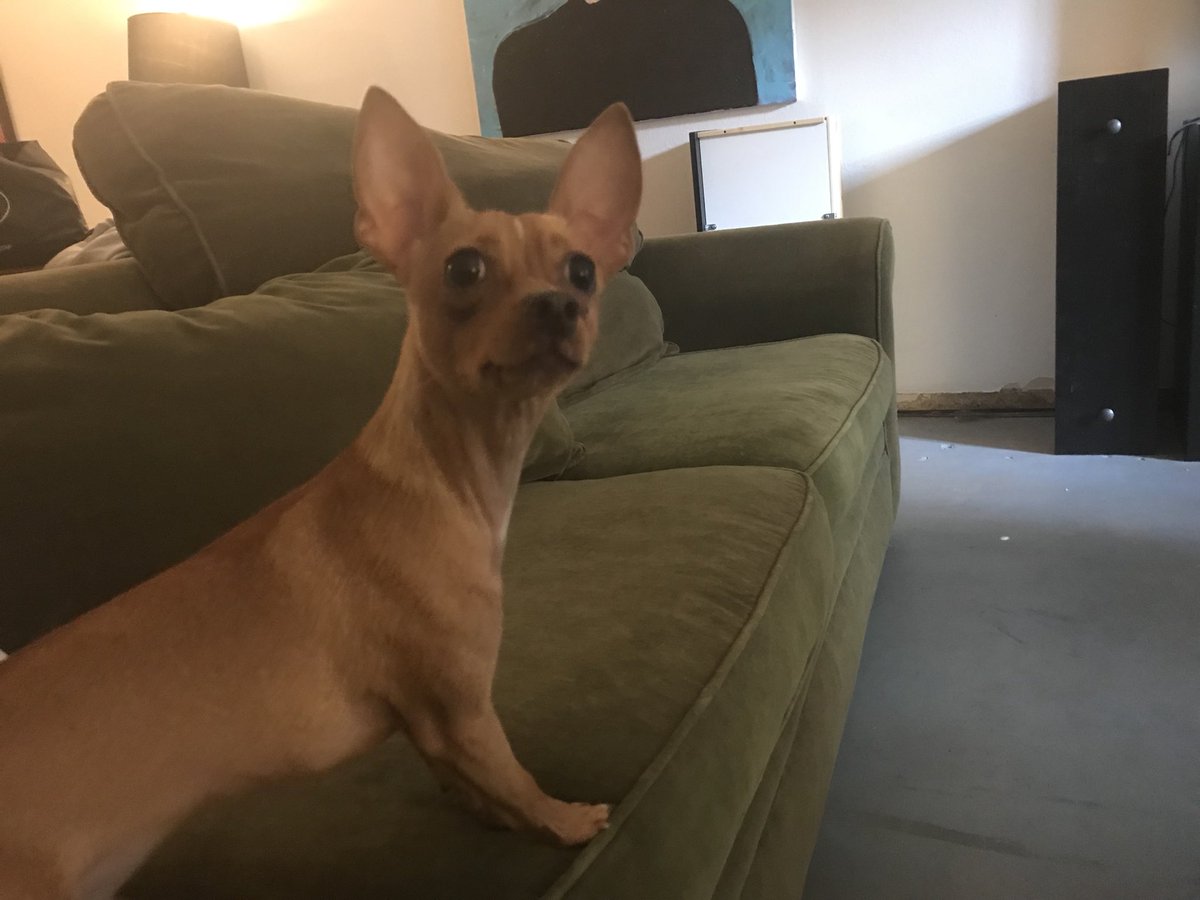 knuxifubux's tweet photo. when you hear your mom yell who peed on the floor https://t.co/qcPEYL8Pko
