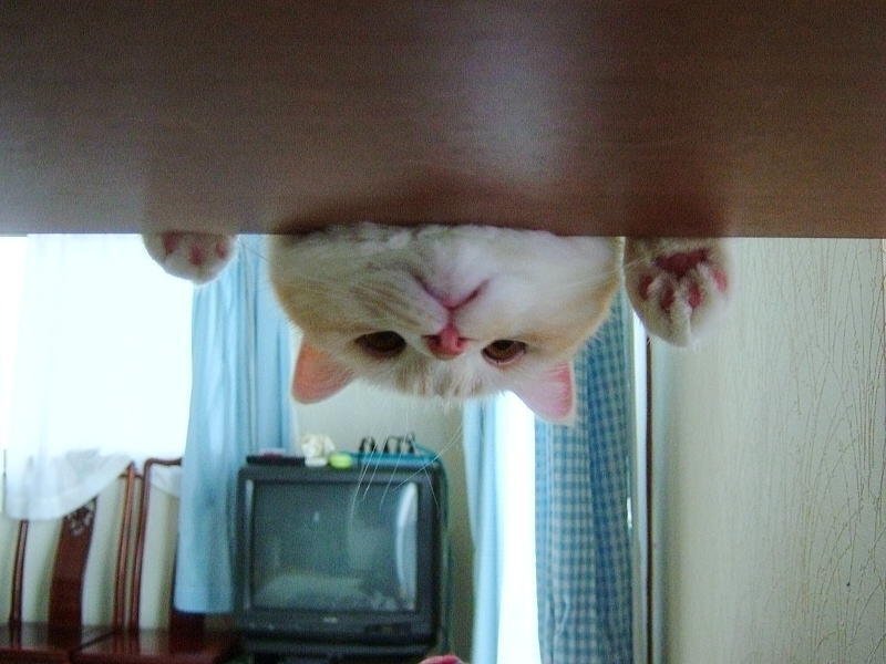 釣りびと万歳で、こころ旅のテーマが流れてる(笑)