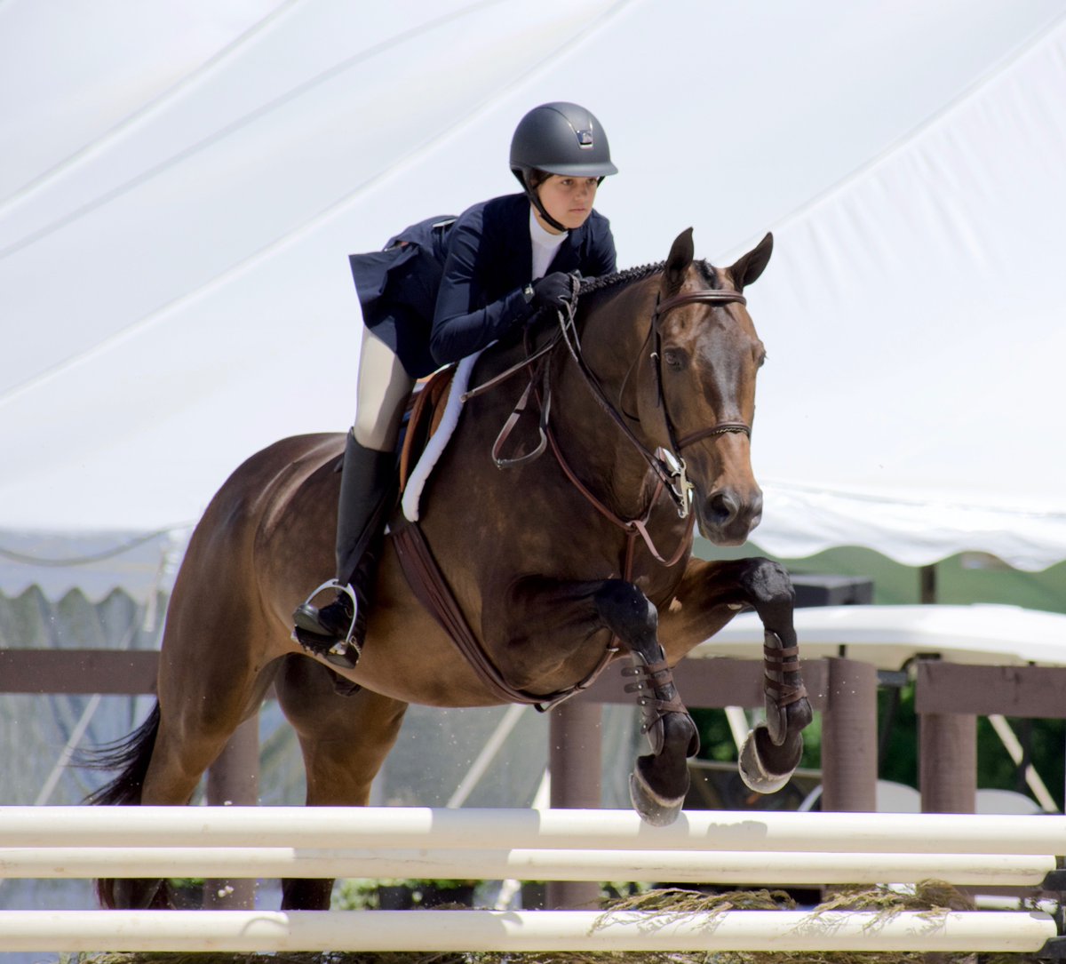 stablesecretary's tweet photo. On #FridayFavorites we'd like to highlight one of the @StableSecr1 packages called "Performance" that features tracking services & recording health records, and so more. Details: https://t.co/barVCNDhzO #stablesecretary #performance #stablemanagementmadeeasy #horse #equinetech https://t.co/5GMl25eGvU