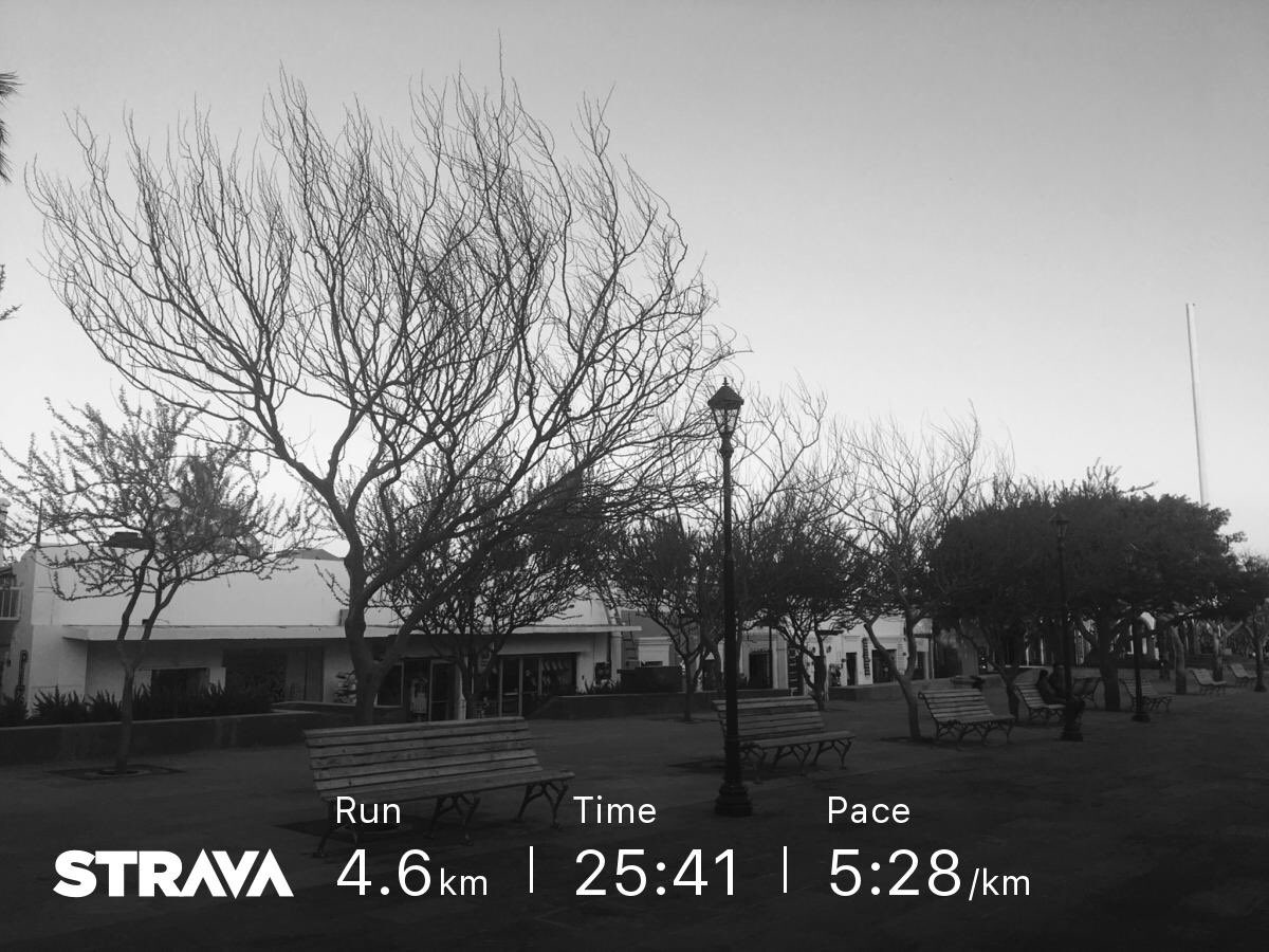 juancarlos_runs's tweet photo. Para poder seguir adelante, habrá que entender por qué sentiste lo que sentiste y por qué ya no necesitas sentirlo.

#mytopquotes #justdoit #forerunner #whyirun #gorunit #training #focus #SJC #BCS #Mexico #motivation #NRC #running #runnerscommunity #runnersworld https://t.co/TPHNXtrVGX
