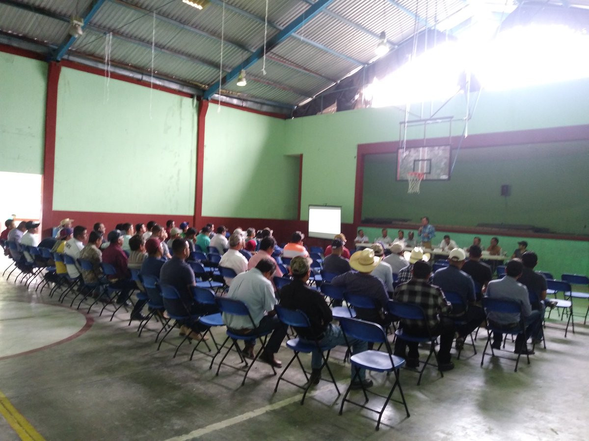 SPA_SLP's tweet image. Tercera asamblea general ordinaria del Sistema Producto Apícola del Estado de San Luis Potosí