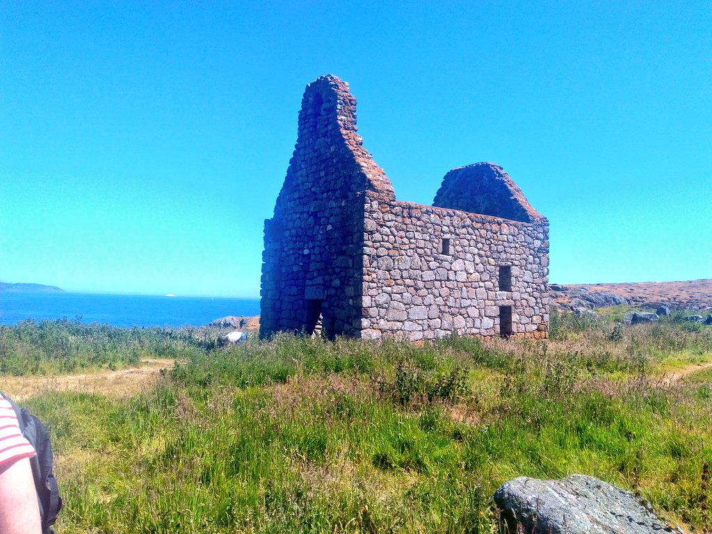 Clunylibrary's tweet photo. Fab day for a trip to #Dalkey island. It's definitely worth a visit @dlrcc @dalkeycastle #lovingthissun https://t.co/JkVwnFy5rT