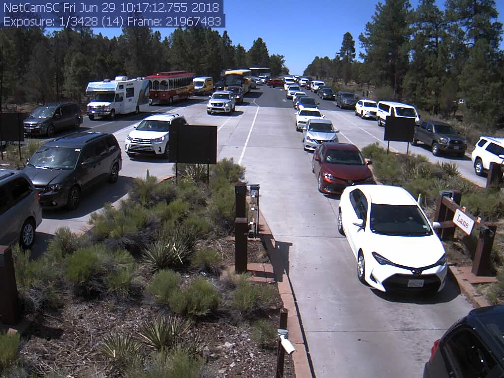 Image description: Five long lines of cars waiting to enter the park at an entrance station.