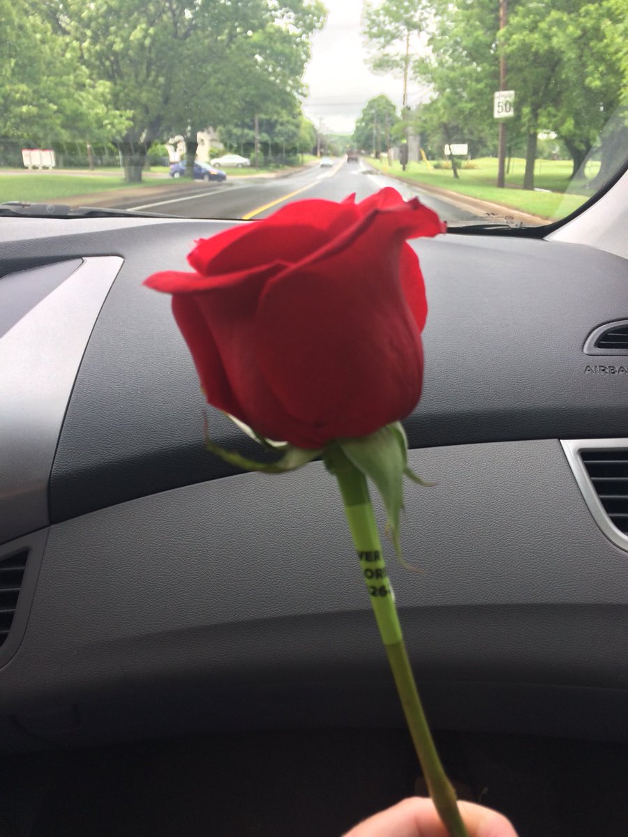 Standing outside #QEH, in the rain waiting for my drive, and a lovely lady gave me this rose from <a href="/_flowerbuds/">zara🌷</a>. What a way to add sunshine to my day!  #RAOK