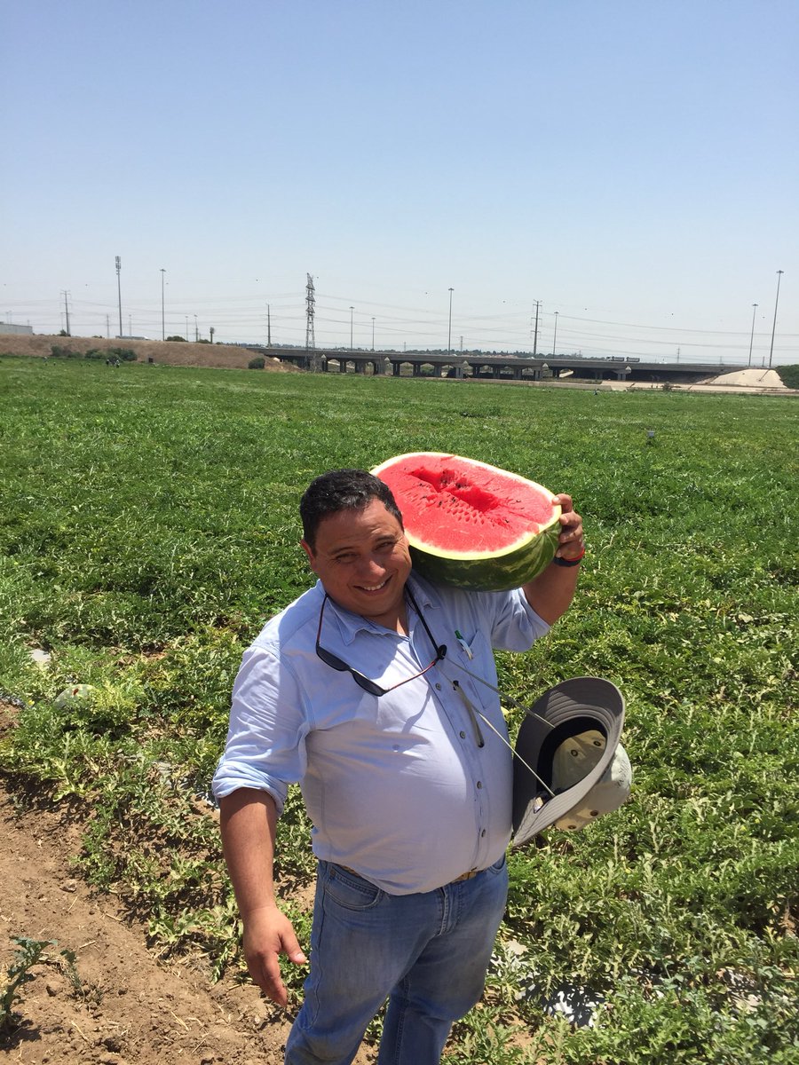 JuanjoMM's tweet photo. @ignacioc81 de Talca en Bne Darom, Israel. @RADIOPALOMAFM @UTalca @IMTalca #OrigeneSeeds #Chile 🇨🇱 #Israel 🇮🇱 https://t.co/UHKitYMU4A