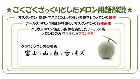 静岡産 マスクメロン「アールスメロン」 – 喜果堂