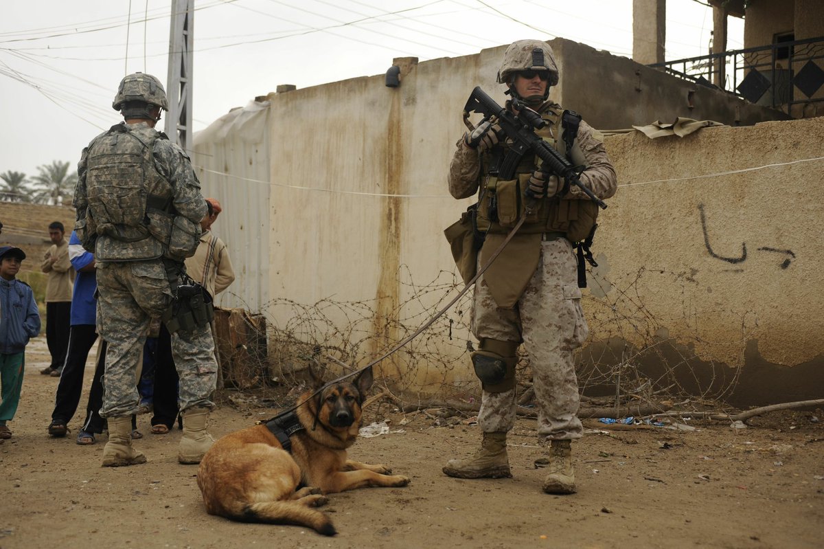 ArmedForcesFF's tweet photo. #FeelGoodFriday

Meet Lucca, the German Shepherd who served 3 combat tours in her 6 years as a Marine.

In 2012, while on patrol in Afghanistan, an explosive detonated beneath her. Lucca's leg required amputation, but within 10 days, she was up and walking again. https://t.co/hpwiawdwek