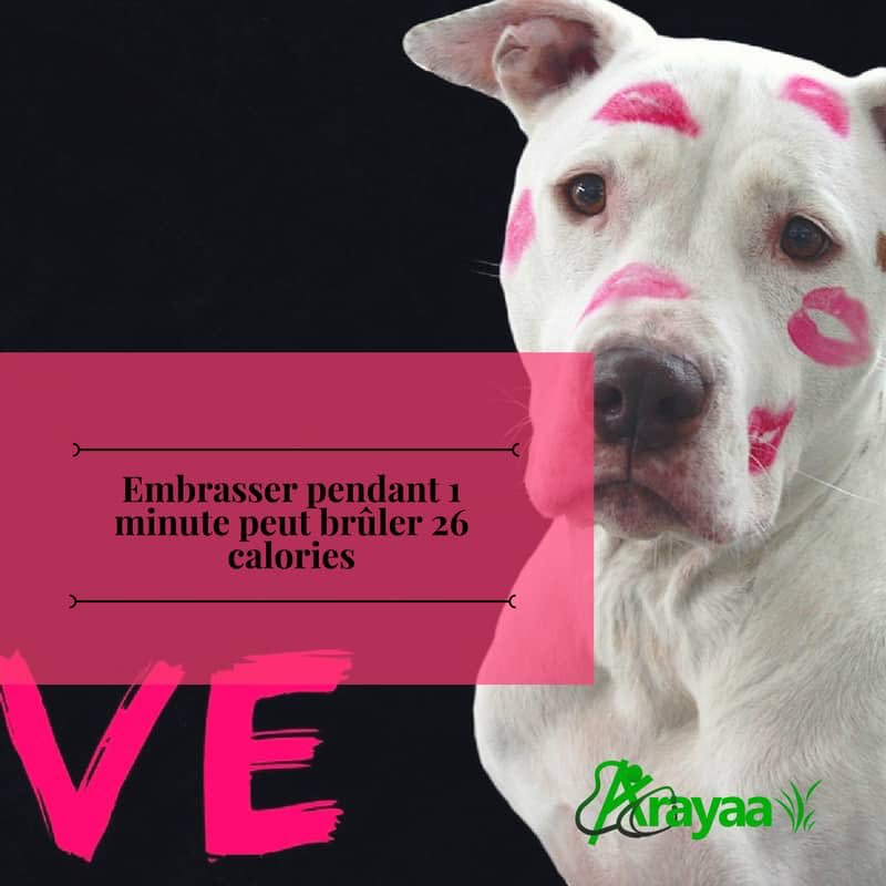 Fun way to burn calories😏