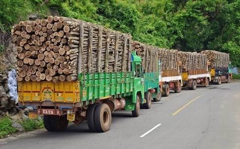 19. Every day between 2 am & 8 am if you stand in Yercaud foot hills you can see atleast 70 trucks full of illegally cut timber, imagine pan TN.These Dravidian Parties have raped our forests too. How many dmk Pidi's are involved in this trade ? Less talked about them better it is