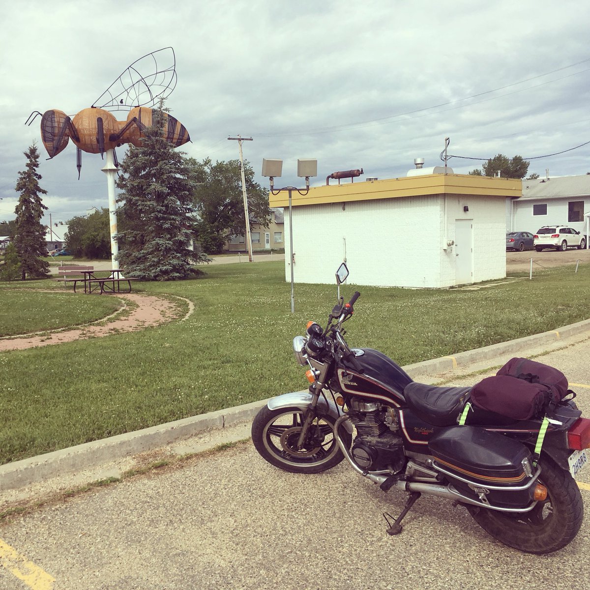 BigCountry931's tweet photo. Good thing I’m not allergic! I had lunch yesterday with Falher’s giant honey bee. 🐝#ViewsFromThePeace
- Ken Elrick II https://t.co/1m419f60wg