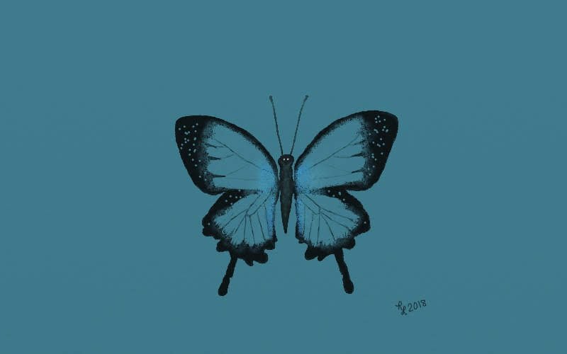 #colour_collective #tealblue #Butterflies #kidlitart #drawing @Clr_Collective