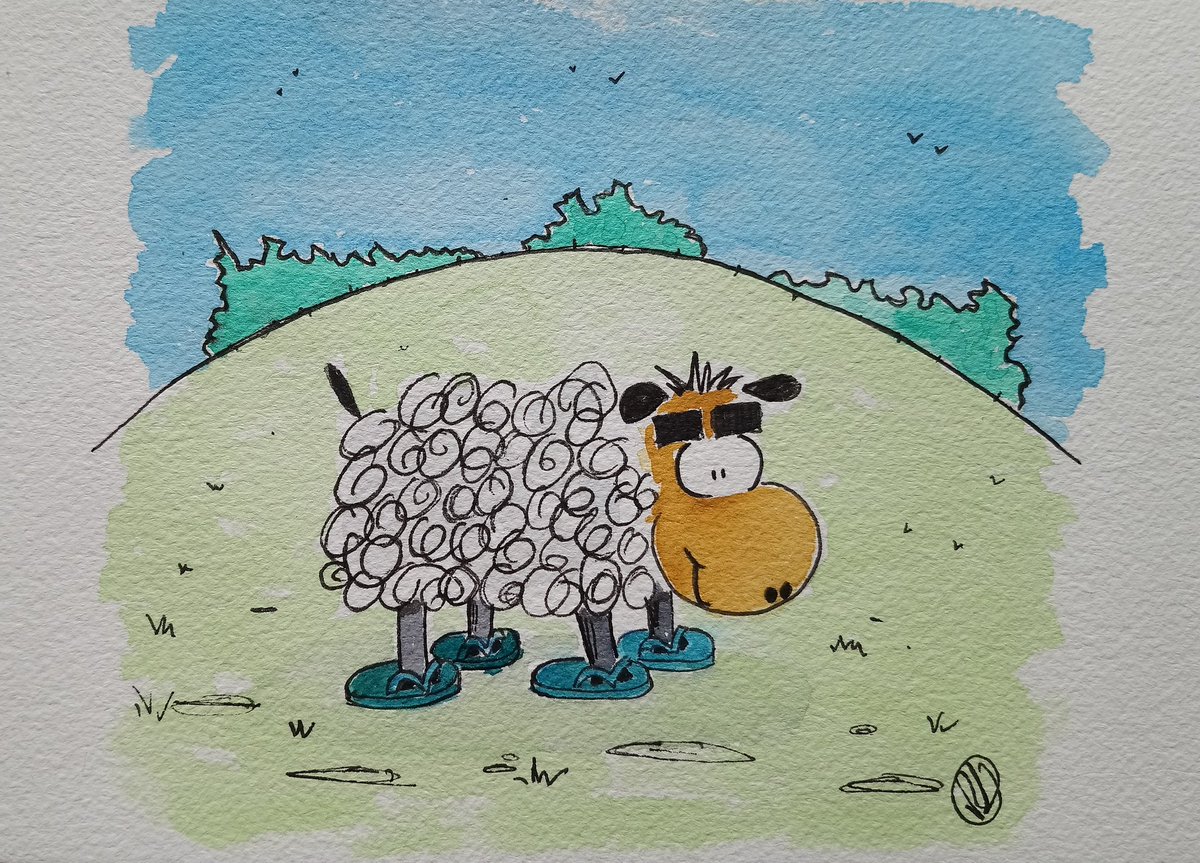 #colour_collective Sometimes I like to ask deep and meaningful questions. So if you where a sheep what colour Flipflop would you wear? Has to be #tealblue just like Lucy.