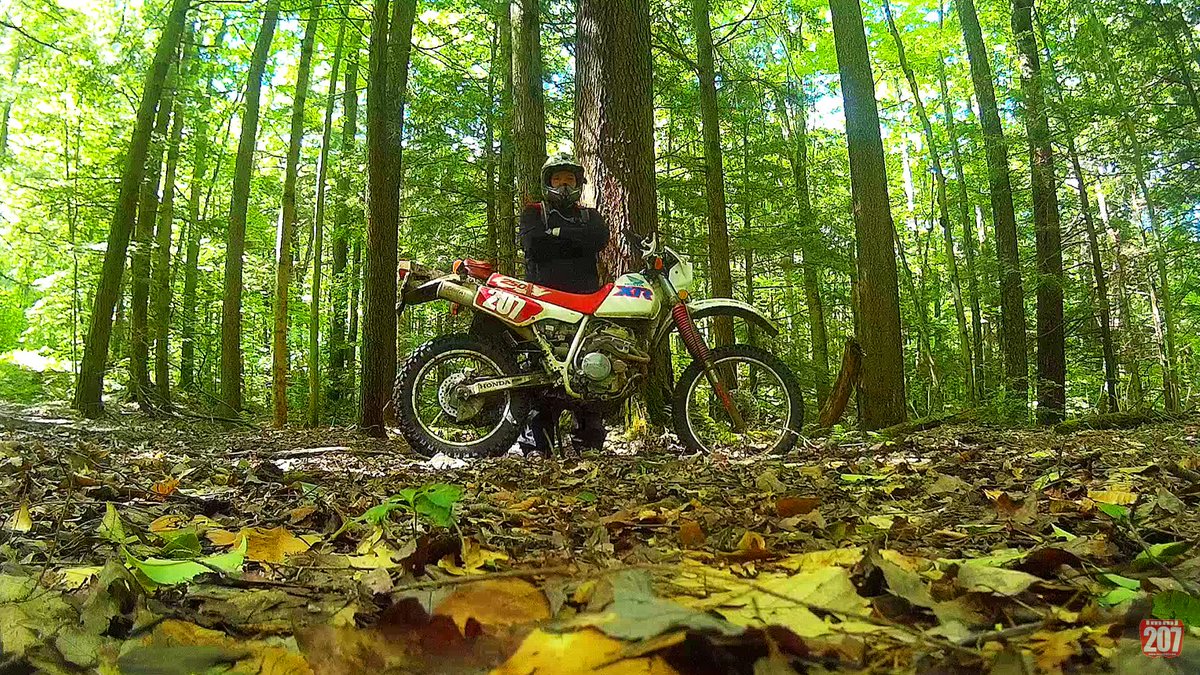 immj207's tweet photo. #justride #getoutside #ANF #rockygap https://t.co/GKr8RCsJAZ