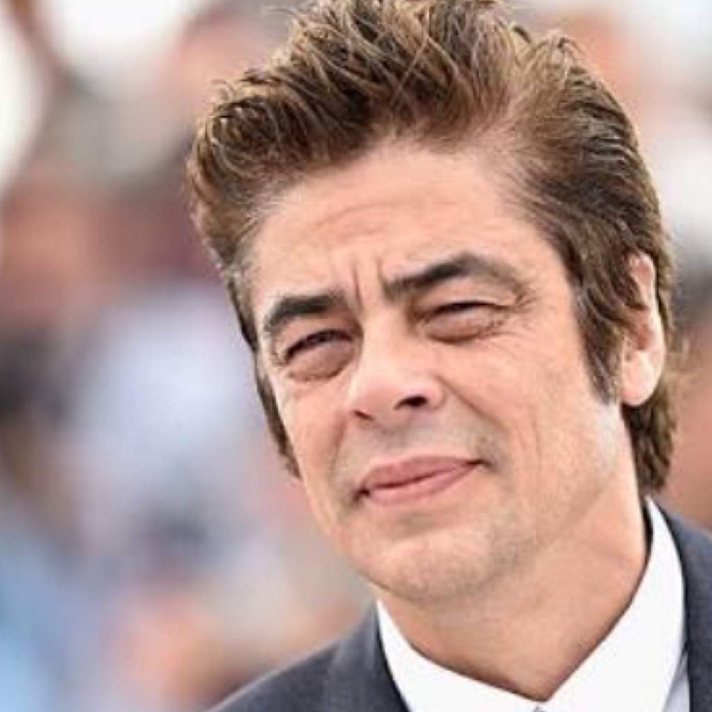 Young Benicio Del Toro looks like Brad Pitt mixed with Leo Dicaprio.