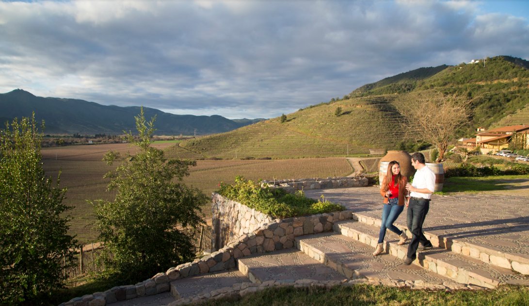 chiletravel's tweet photo. A glass of wine ? Come discover the unique carménère that Chile produces in its amazing valleys https://t.co/EdsbZfr6vS https://t.co/iieqeSAoZM