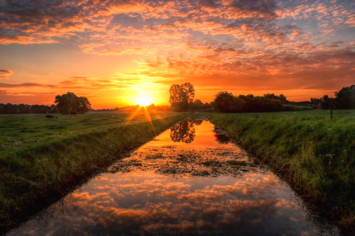 <a href="/EarthandClouds/">Earth and Clouds</a> <a href="/EarthandClouds2/">Earth and Clouds II</a> @amazinglybeaut <a href="/LincsSkies/">Lincolnshire Skies</a> <a href="/SeekingSkyfire/">Seeking Skyfire</a> <a href="/PicBallot/">GFE Escorts Kenya</a> <a href="/BestSunsetPhoto/">📷Вⷡeͤs͛ᴛⷮS͛uͧns͛eͤᴛⷮ Рⷬhͪoͦᴛⷮoͦ🌇</a> <a href="/WizardWeather/">Sugar Mummy Hook Ups Kenya</a> <a href="/WizardWorld/">Dalmondrius</a> <a href="/MooiOverijssel/">Mooi Overijssel</a> <a href="/mooieluchten/">mooieluchten</a> <a href="/DSunsets/">DutchSunsets</a> <a href="/CanonNederland/">Canon Nederland</a> <a href="/Theblueworldned/">The Blue World</a> <a href="/sunset_wx/">Sunset Weather</a> Beautiful sunrise in Hertme, The Netherlands